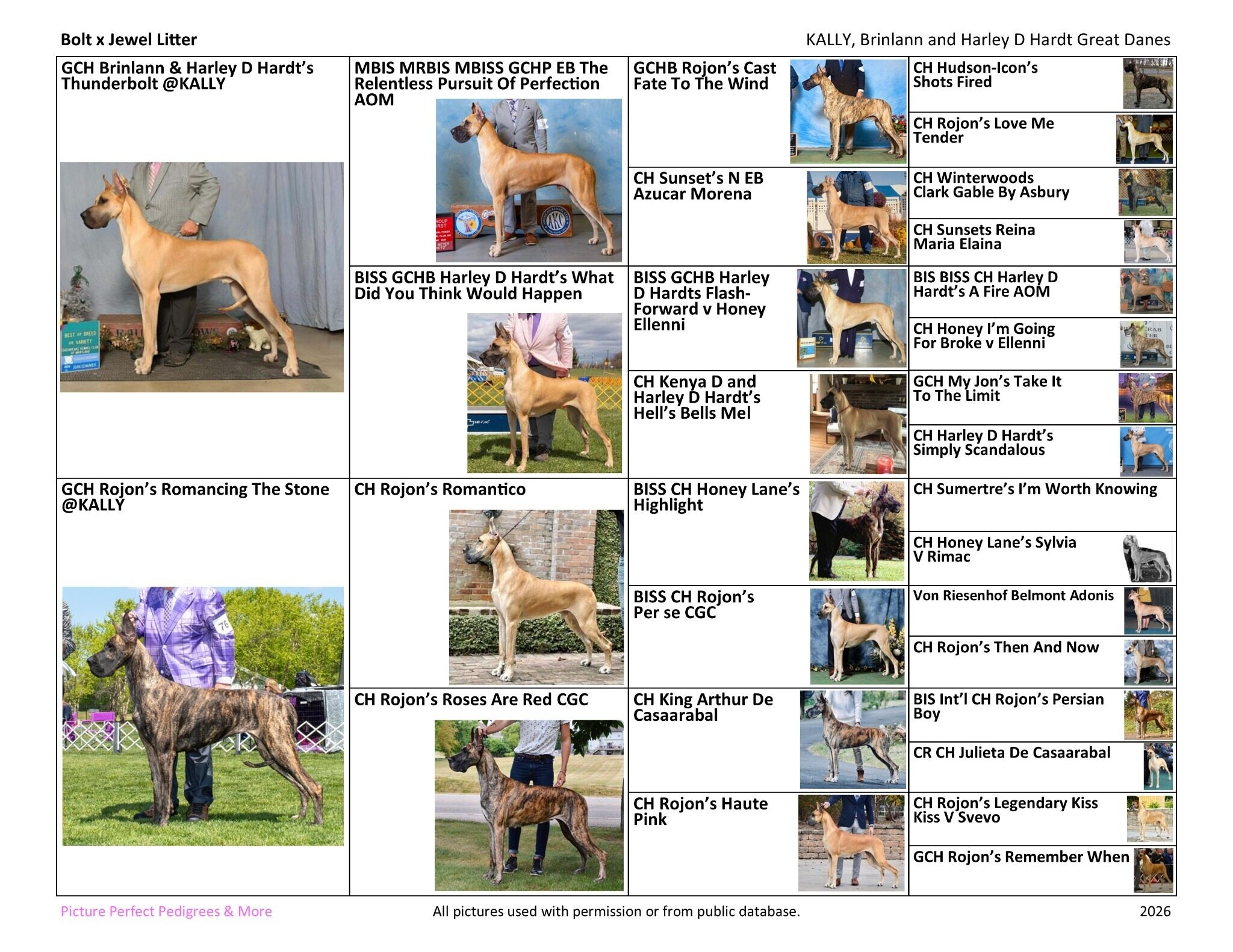 Four-generation picture pedigree for Bolt and Jewel